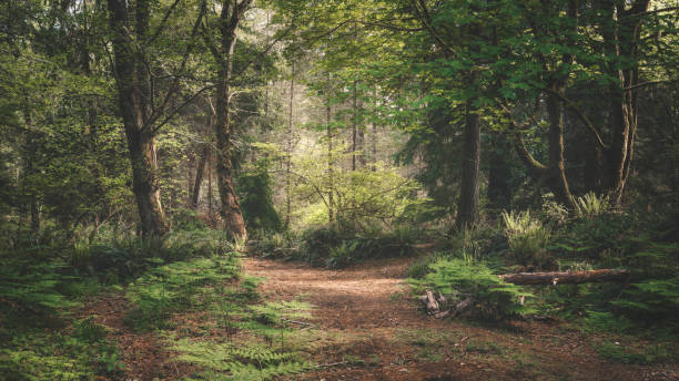 Point Defiance Park