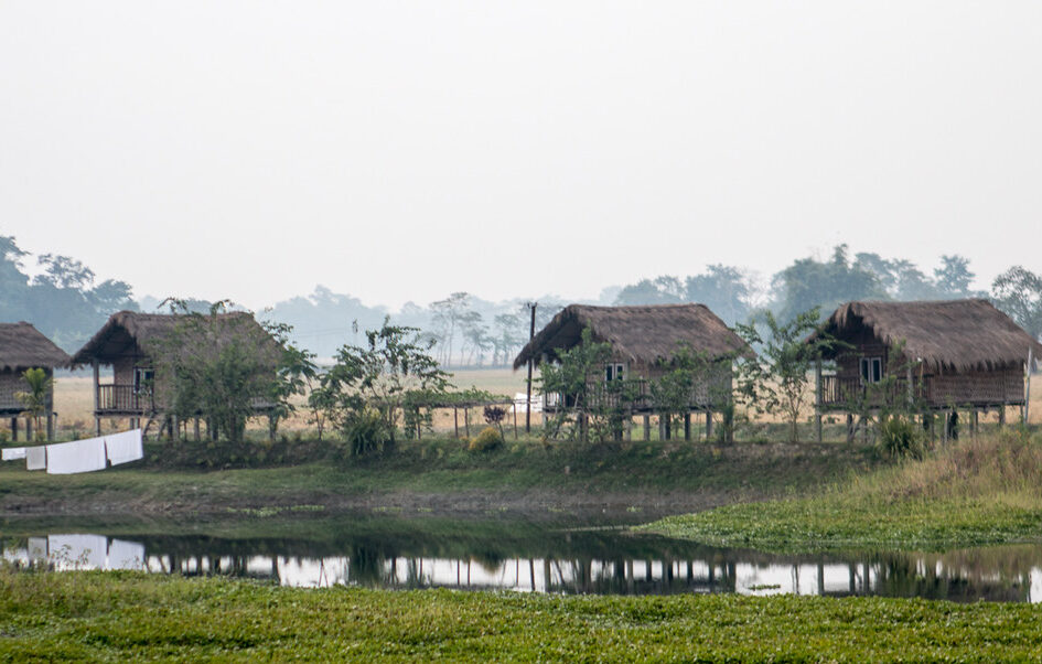 Majuli Island